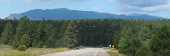 View North on NM337 at Pine Flat - Eric Russell