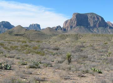 Chihuahuan Desert - Eric Russell Photo