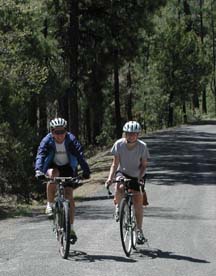 Kay Dwer Photo: Riders in Gila National Forest